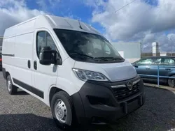 Lackierung weiss icy Gebraucht 2023 Opel Movano Edition Van | 24.900 € (Guter Preis)
