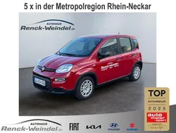 Rosso Gebraucht 2024 Fiat Panda Kleinwagen | 15.489 € (Etwas zu teuer)