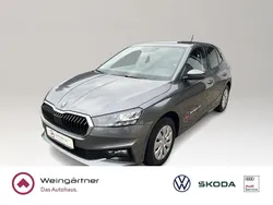 Grau Gebraucht 2024 Skoda Fabia Selection Kleinwagen | 17.480 € (Guter Preis)