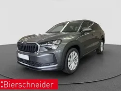 Grau Gebraucht 2025 Skoda Kodiaq Selection SUV | 47.450 € (Superpreis)