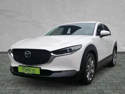 Snowflake white Gebraucht 2019 Mazda CX-30 Selection SUV | 18.850 € (Guter Preis)