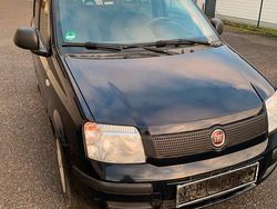 Blau Gebraucht 2009 Fiat Panda Kleinwagen | 1.899 € (Fairer Preis)