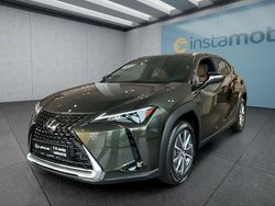 Grün Gebraucht 2023 Lexus UX 300e SUV | 42.949 €