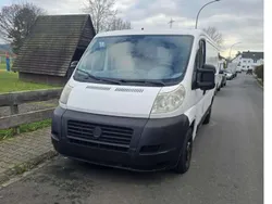 Weiß Gebraucht 2008 Fiat Ducato Van | 3.500 € (Superpreis)