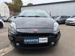 Schwarz Gebraucht 2015 Fiat Punto Young Kleinwagen | 4.620 € (Fairer Preis)