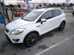Weiß Gebraucht 2011 Ford Kuga SUV | 4.999 € (Guter Preis)