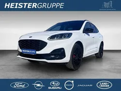 Weiß (frostweiß) Gebraucht 2024 Ford Kuga ST-Line X SUV | 31.890 € (Fairer Preis)
