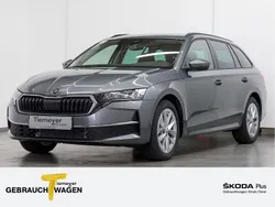 Grau Gebraucht 2024 Skoda Octavia Selection Kombi | 29.490 € (Guter Preis)