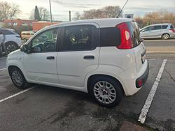 Weiß Gebraucht 2016 Fiat Panda Easy Kleinwagen | 6.990 € (Fairer Preis)
