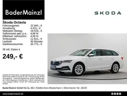 Candyweiß Gebraucht 2023 Skoda Octavia Style Kombi | 22.960 € (Guter Preis)