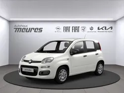 Weiss Neu 2025 Fiat Panda Kleinwagen | 13.950 € (Guter Preis)