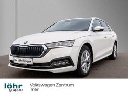 Weiß Gebraucht 2023 Skoda Octavia Business Line Kombi | 21.880 € (Fairer Preis)