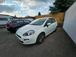 Weiß Gebraucht 2012 Fiat Punto Pop Kleinwagen | 3.500 € (Fairer Preis)