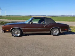 Braun Gebraucht 1979 Oldsmobile Cutlass Coupé | 6.990 €