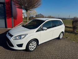 Frostweiß Gebraucht 2014 Ford Grand C-Max Trend Van / Kleinbus | 6.400 € (Etwas zu teuer)