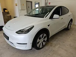 Weiß Gebraucht 2023 Tesla Model Y Long Range AWD SUV | 33.500 € (Guter Preis)