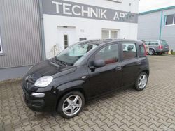 Schwarz Gebraucht 2013 Fiat Panda Easy Kombi | 6.599 € (Fairer Preis)