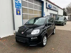 Cinema schwarz, uni Neu 2024 Fiat Panda Kleinwagen | 13.490 € (Fairer Preis)