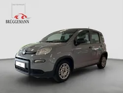 Moda grau Gebraucht 2023 Fiat Panda Tech Kleinwagen | 10.990 € (Guter Preis)