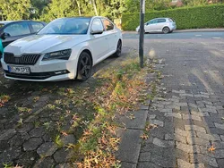 Weiß Gebraucht 2017 Skoda Superb Limousine | 15.999 € (Fairer Preis)
