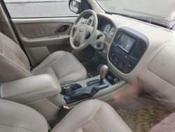 Schwarz Gebraucht 2004 Ford Maverick Limited SUV | 7.600 € (Teuer)