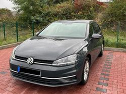 Grau Gebraucht 2019 VW Golf VII Comfortline Limousine | 15.100 € (Guter Preis)