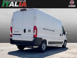 Weiss Gebraucht 2025 Fiat Ducato Van | 41.946 €
