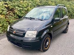 Schwarz Gebraucht 2008 Fiat Panda Kleinwagen | 2.500 € (Fairer Preis)