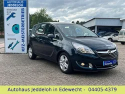 Grün Gebraucht 2014 Opel Meriva Van / Kleinbus | 10.880 € (Etwas zu teuer)