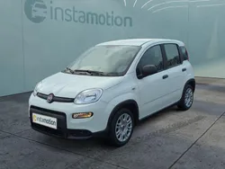 Weiß Neu 2024 Fiat Panda Kleinwagen | 12.499 € (Superpreis)