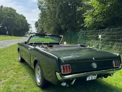 Grün Gebraucht 1966 Ford Mustang Cabrio | 53.500 €