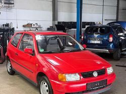 Rot Gebraucht 1997 VW Polo Limousine | 1.600 € (Fairer Preis)