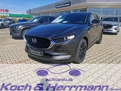 Neu 2025 Mazda CX-30 Homura-Line SUV | 31.699 €