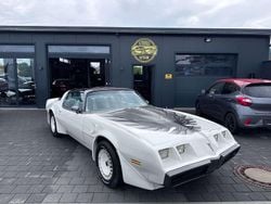 Weiß Gebraucht 1980 Pontiac Trans Am Coupé | 26.999 €