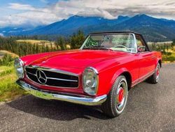 Rot Gebraucht 1965 Mercedes 230 Cabrio | 89.900 €