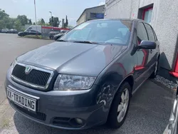 Grau Gebraucht 2008 Skoda Fabia Style Limousine | 2.222 € (Guter Preis)