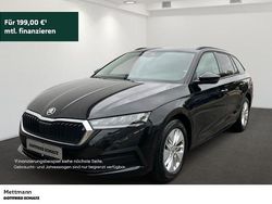 Schwarz Gebraucht 2022 Skoda Octavia Active Kombi | 17.790 € (Guter Preis)