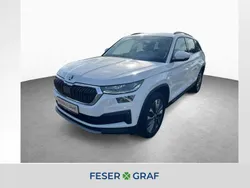 Moon weiss perleffekt Gebraucht 2024 Skoda Kodiaq Ambition SUV | 41.490 € (Superpreis)