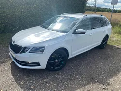 Weiß Gebraucht 2019 Skoda Octavia Premium Edition Kombi | 17.300 € (Fairer Preis)