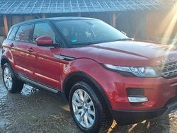 Rot Gebraucht 2014 Land Rover Range Rover evoque SUV | 12.500 € (Guter Preis)