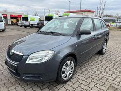 Grau Gebraucht 2009 Skoda Fabia Cool Edition Kleinwagen | 1.400 € (Fairer Preis)