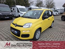 Colore esterno gelb Neu 2025 Fiat Grande Panda Pop Kleinwagen | 12.376 € (Superpreis)