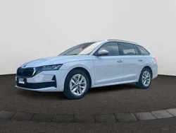 Moonweiss perleffekt Neu 2025 Skoda Octavia Selection Kombi | 34.490 € (Guter Preis)