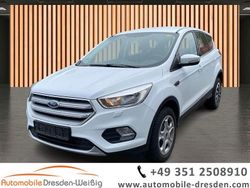 Frostweiã Gebraucht 2019 Ford Kuga Trend SUV | 11.980 € (Superpreis)