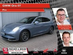 Grau (steel grey) Neu 2025 Ora 07 Limousine | 41.280 € (Etwas zu teuer)