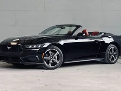 Schwarz Gebraucht 2024 Ford Mustang Premium Cabrio | 41.990 €