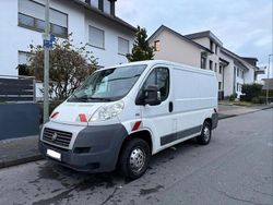 Weiß Gebraucht 2012 Fiat Ducato Van | 5.650 € (Guter Preis)