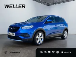 Blau Gebraucht 2019 Opel Grandland X Business Innovation SUV | 19.625 € (Etwas zu teuer)