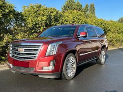 Rot Gebraucht 2016 Cadillac Escalade SUV | 33.900 € (Fairer Preis)