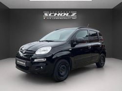 Schwarz Gebraucht 2020 Fiat Panda Easy Kleinwagen | 8.990 € (Fairer Preis)